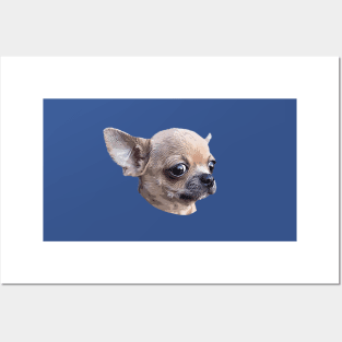 Chihuahua Cute Puppy Dog Posters and Art